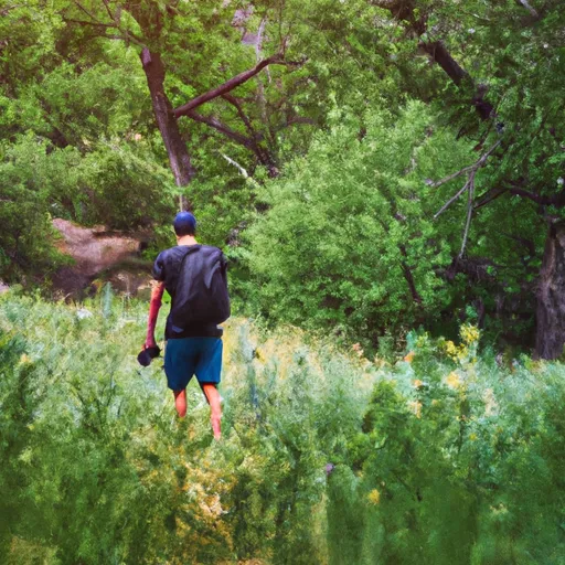 of_a_person_enjoying_a_hike_or_walk_through_a_forest_or_park