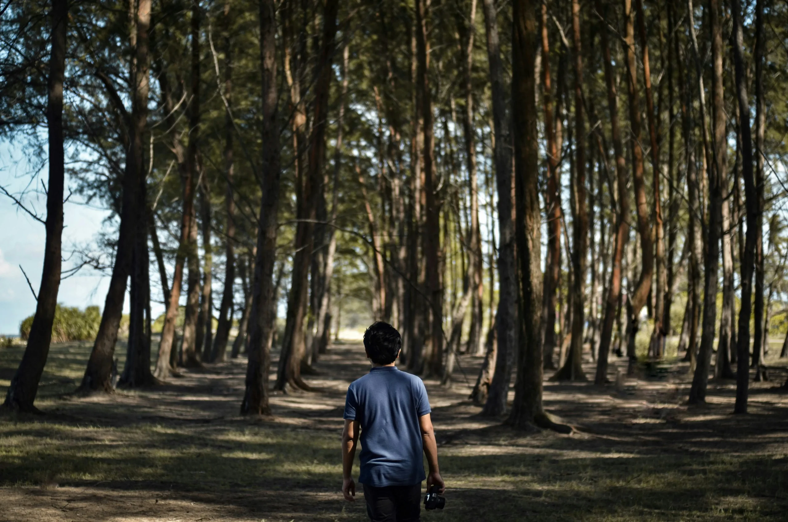 of_a_person_walking_in_a_peaceful_natural_setting_like_a_forest_or_beach
