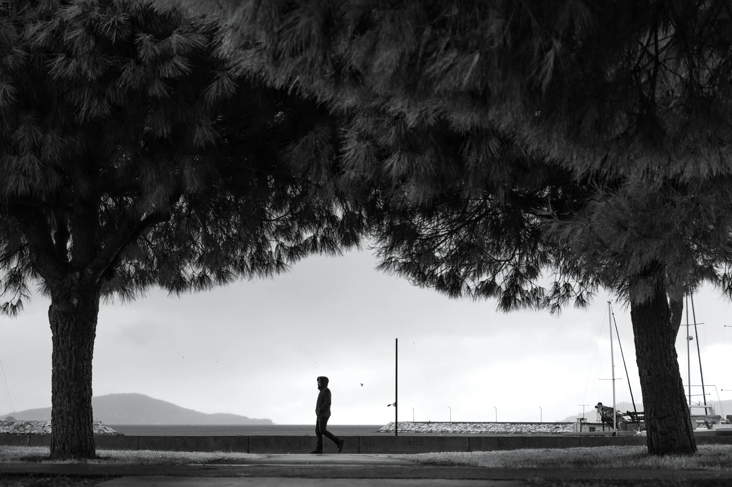 of_a_person_walking_in_a_serene_forest_or_park