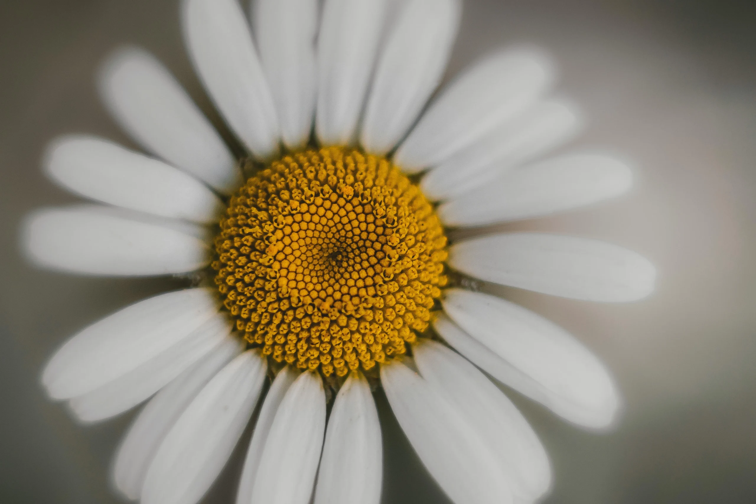 of_calming_herbal_teas_like_chamomile_and_valerian_root