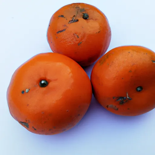 of_foods_rich_in_Vitamin_C_like_oranges