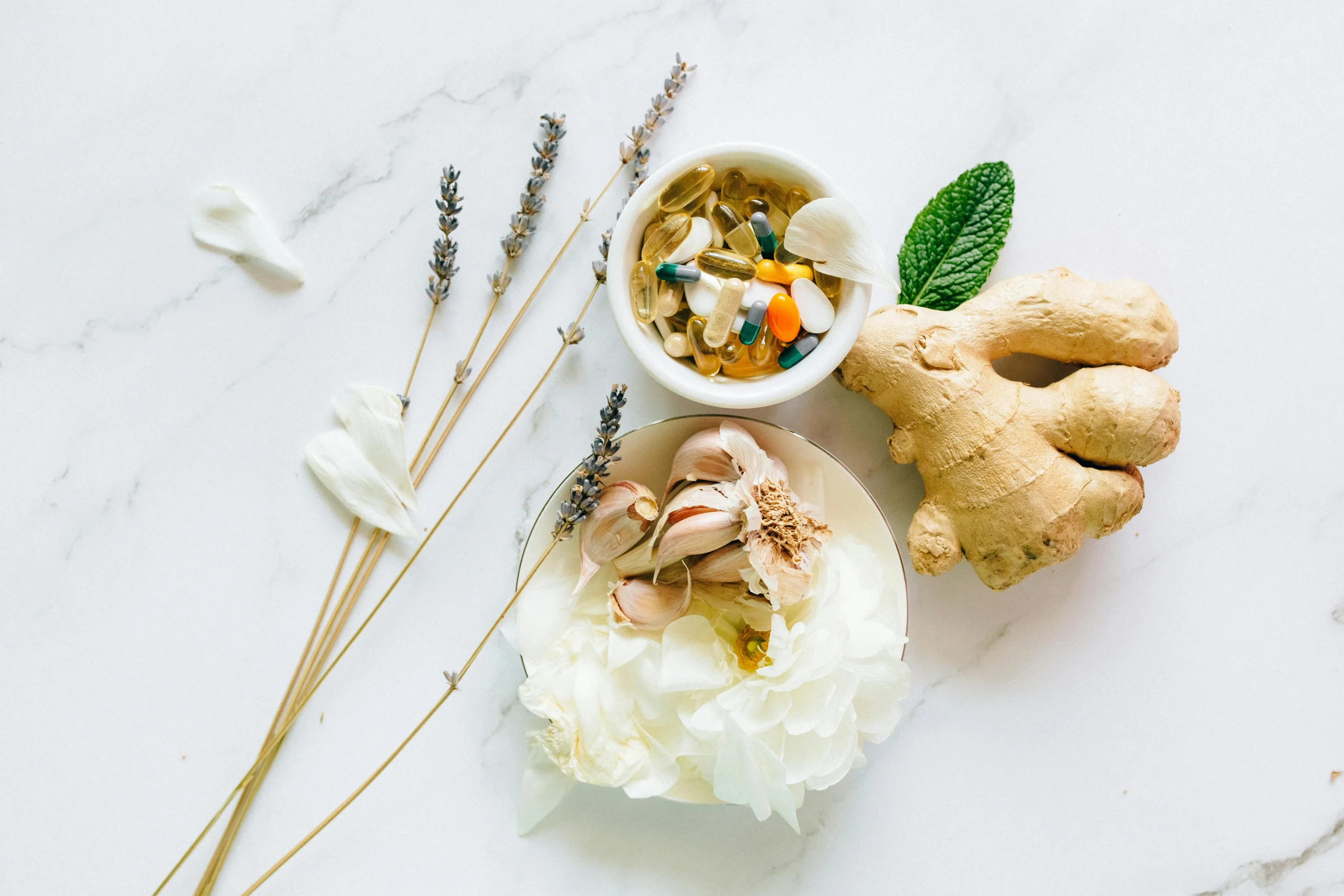 of_fresh_garlic