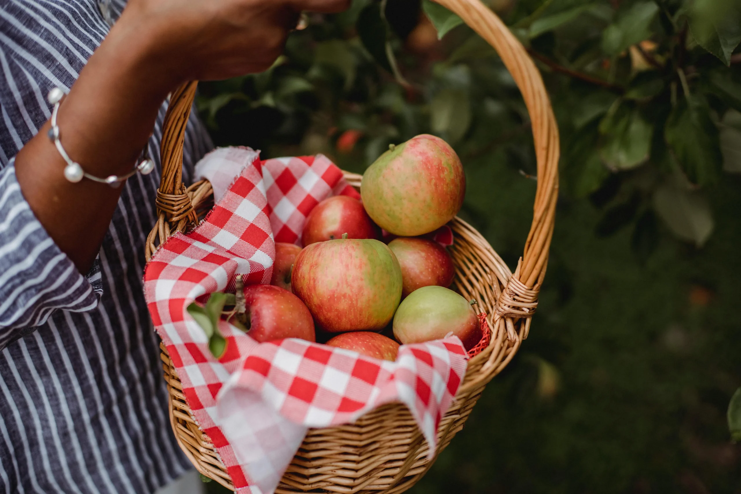 of_fresh_seasonal_produce