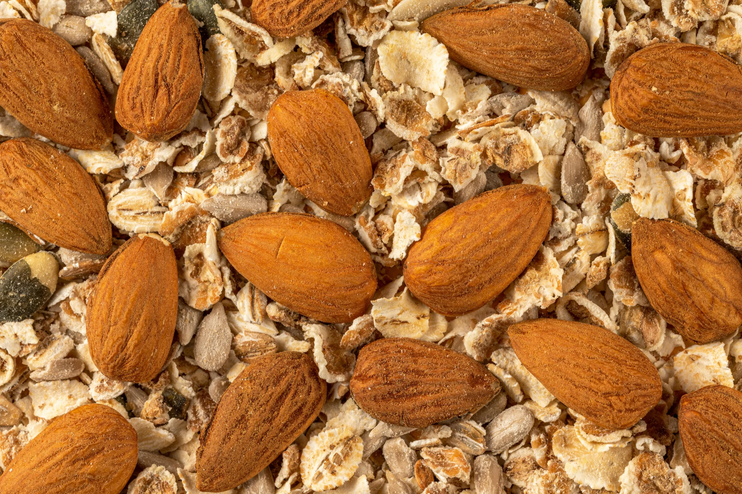 of_plant_based_snacks_like_energy_bars