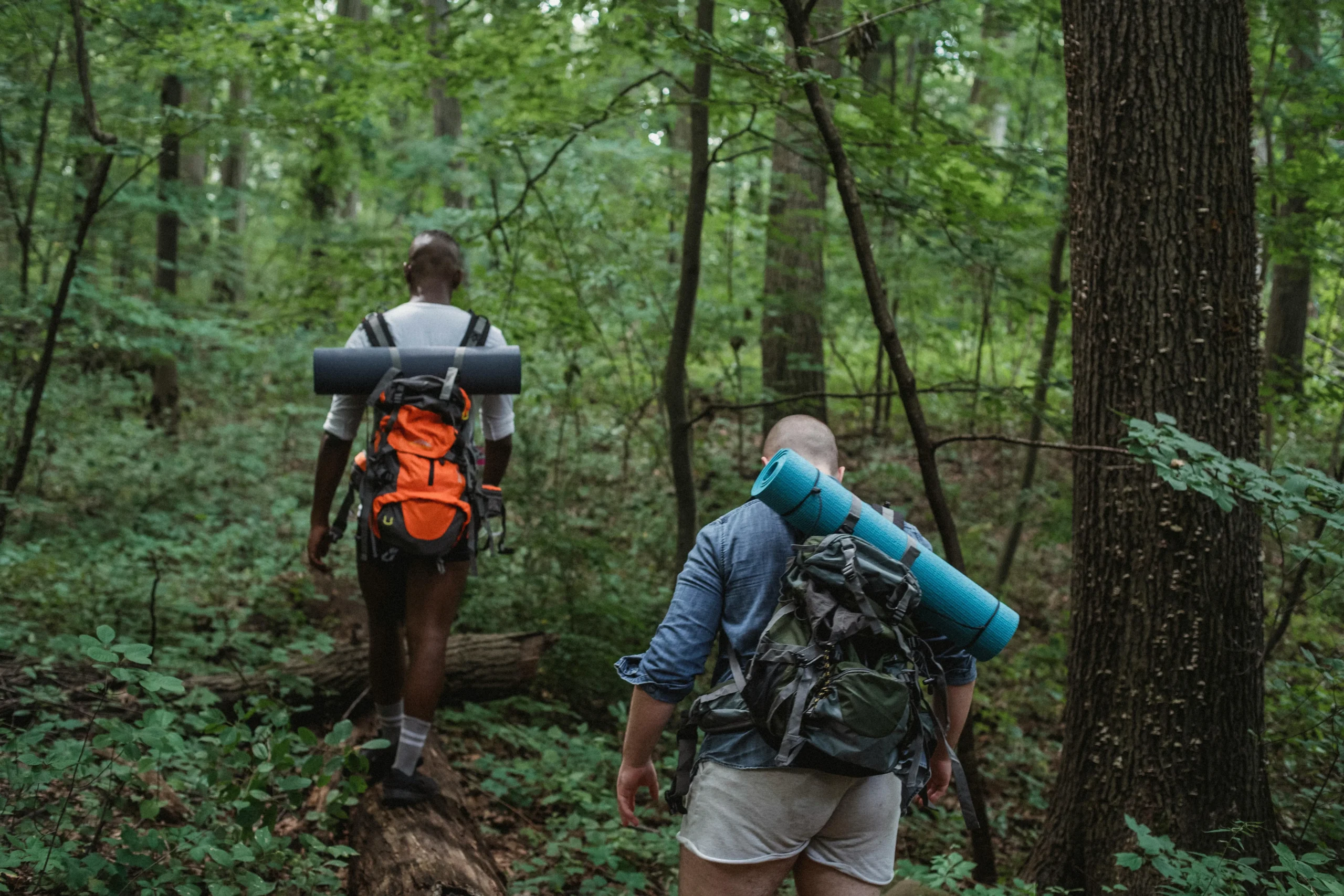 of_a_person_hiking_through_a_lush_forest_trail_with_a_backpack__Create_an_ultra_realistic_image_with_perfect_contrast_by_emphasizing_depth