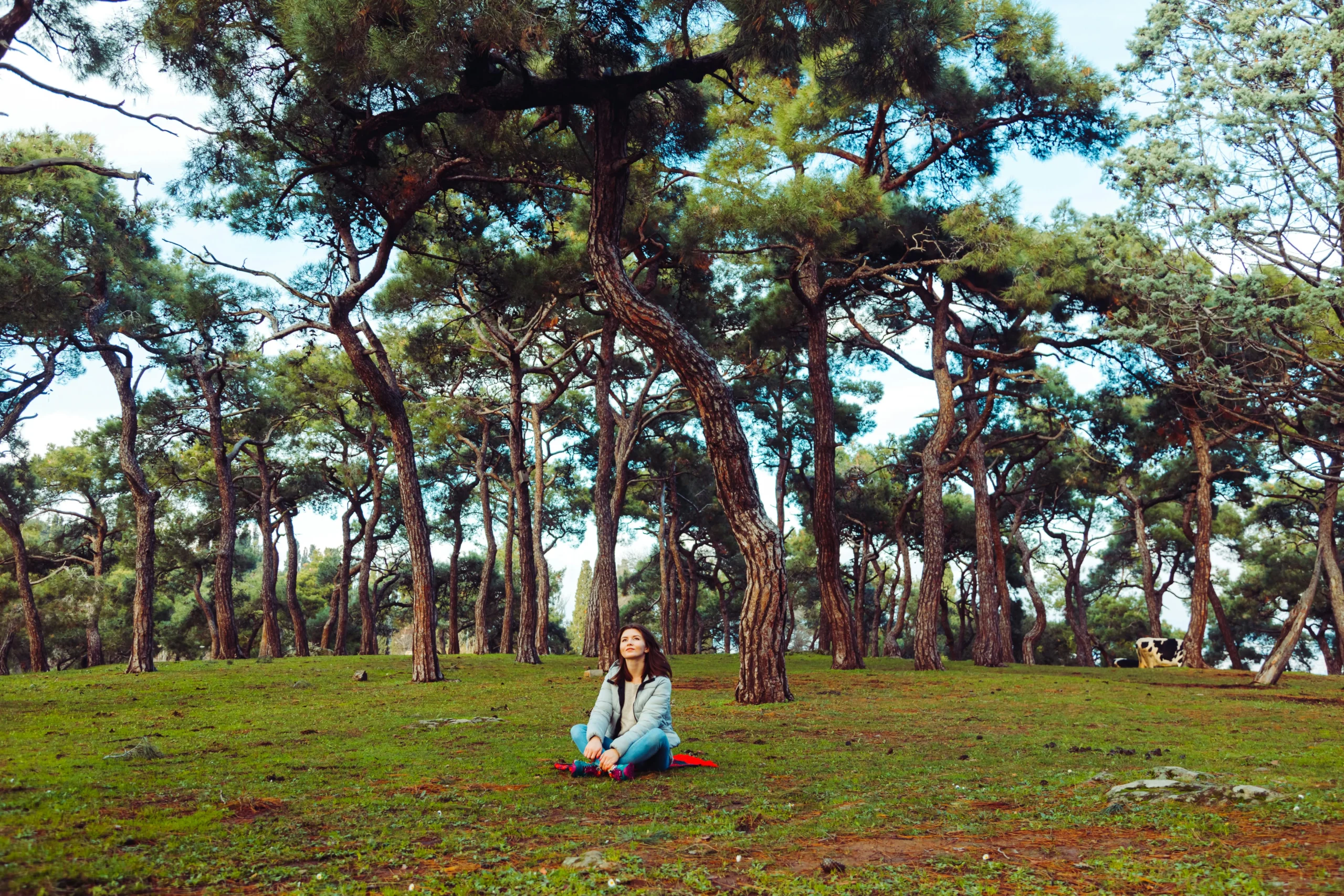 of_a_person_meditating_peacefully_on_a_cushion_in_a_tranquil_environment__Create_an_ultra_realistic_image_with_perfect_contrast_by_emphasizing_depth