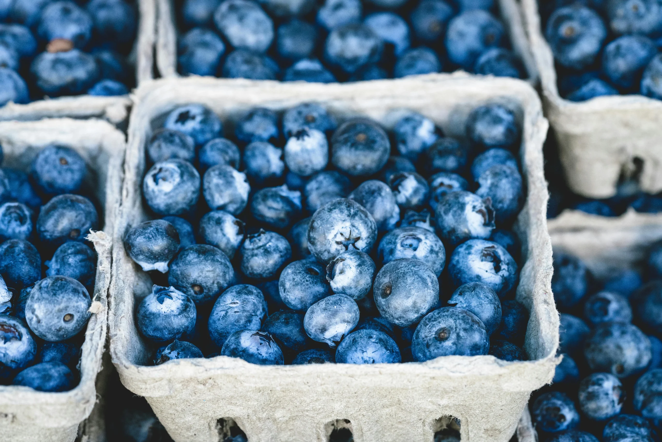 of_berries
