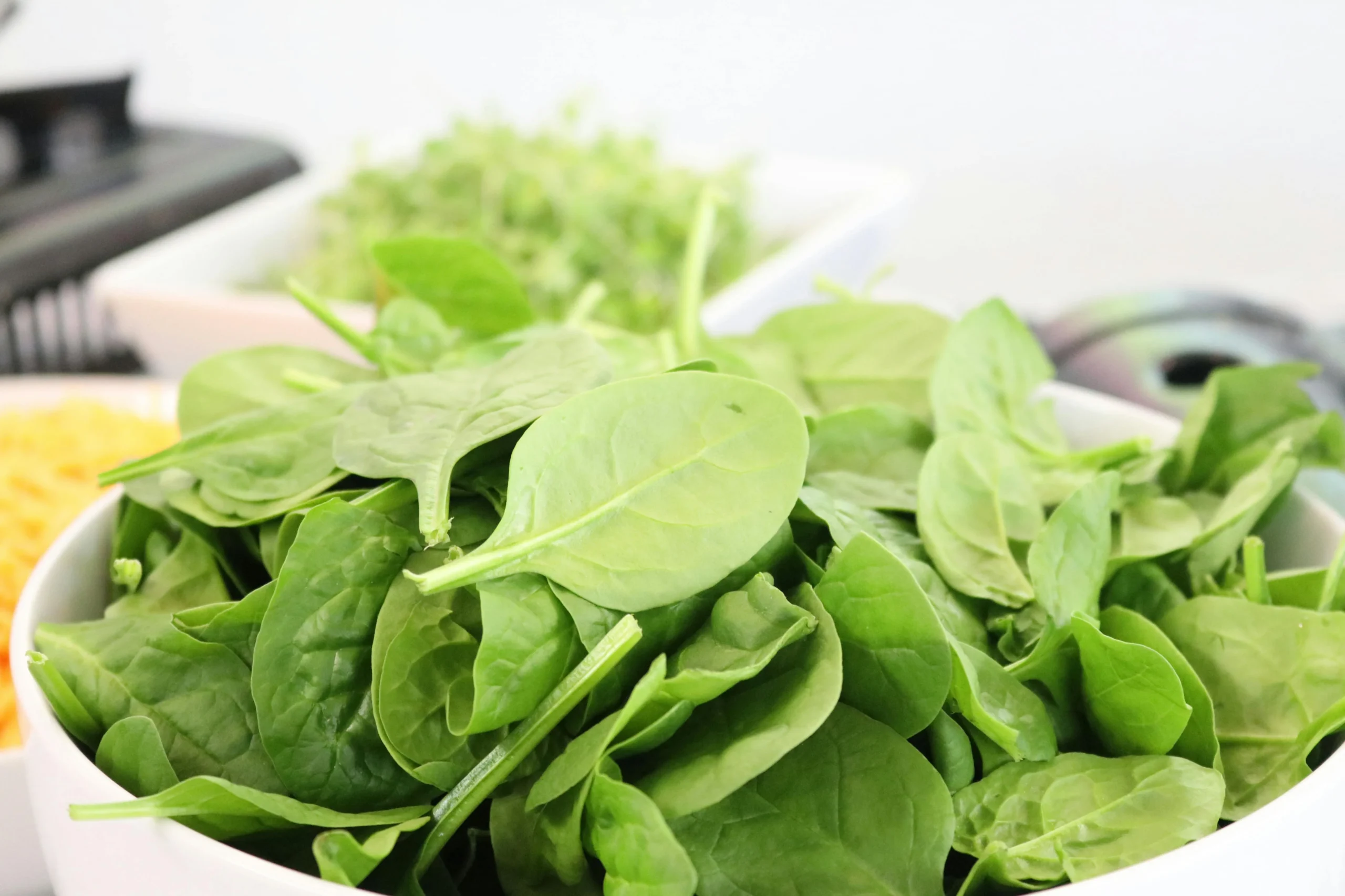 of_spinach
